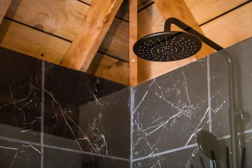 Pommeau de douche