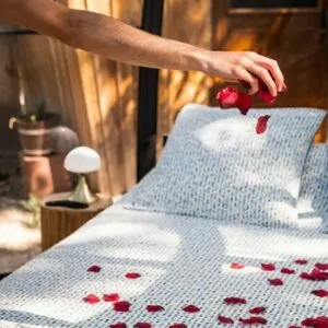 Pétales Bulles d'Olive