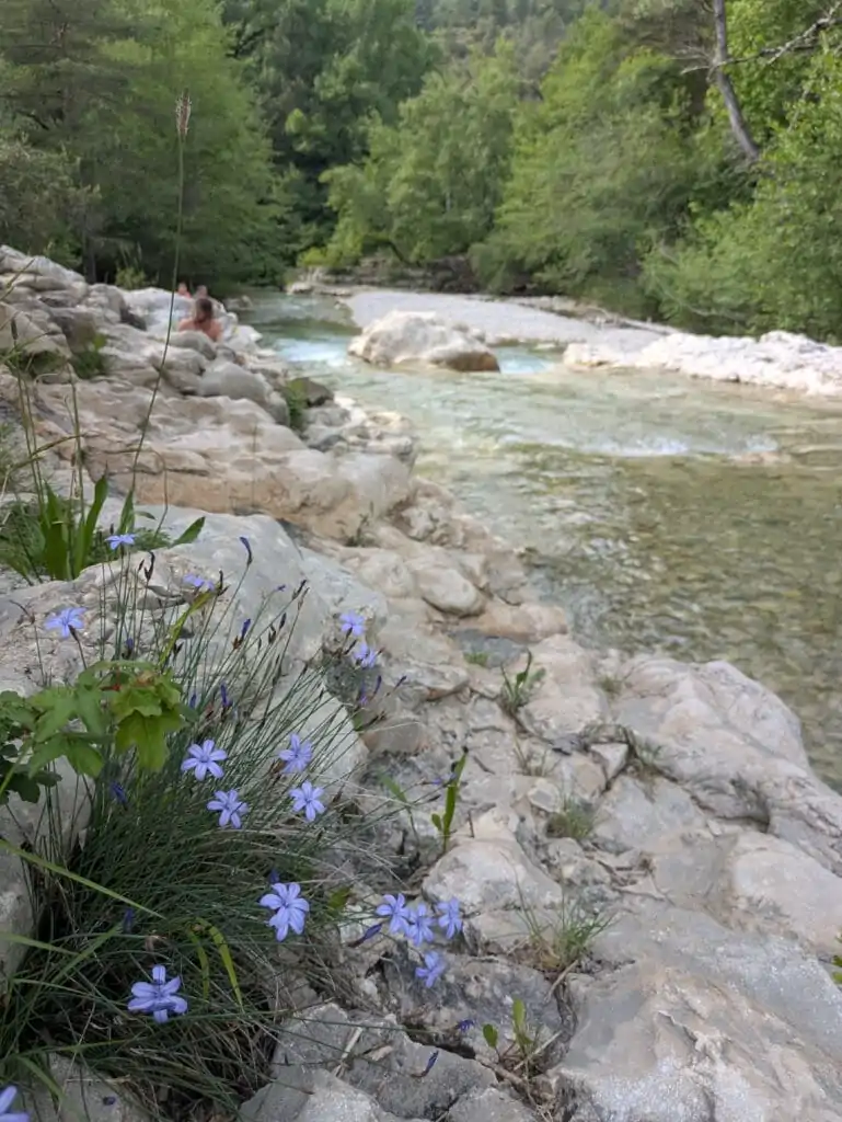 Toulourenc