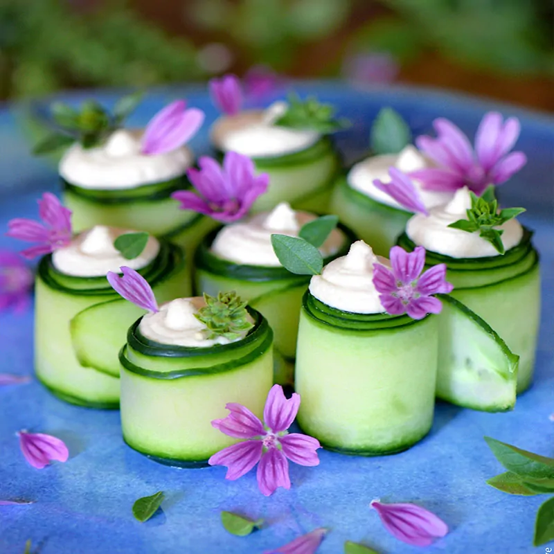 Atelier culinaire Alice Vanhoye