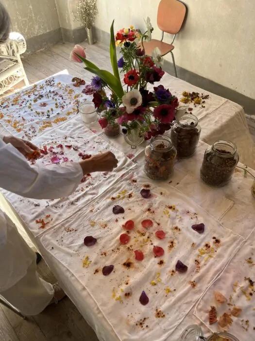 Atelier teinture vegetale Drome